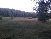 Widok na ��ki 