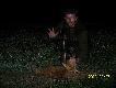 Kiedy wraca�em do auta zobaczy�em pod lasem oto t� liszk�....Jest to m�j trzeci lisek w tym dniu......POZDRAWIAM..Darz B�r.....RAJMUND....:-)))