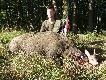 Dzik 117 kg strzelony w samym �rodku kukurydzy z odleg�o�ci 5 krok�w i rogal strzelony kilka minut p�niej podczas powrotu do auta. 
