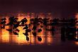 Ciemn� noc�, pe�nia by�a ale chmury nie da�y wyj�� �ysemu. 
