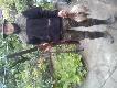 pierwsze kaczki strzelone