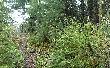 Porta� mi�dzy; Net Lake i Thieving Bear Lake.