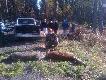 26-10-2013 ta data pozostanie mi na d�ugo w pami�ci. Hubertus, pierwsza zbior�wka z broni�, �lubowanie , pierwszy miot ,pierwsza �ania w �yciu na rozk�adzie i pierwszy raz Kr�l Polowania. Dzi�kuj� Ci �w. Hubercie. Darz B�r!!!