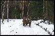 Ten Pan to dopiero mia� ci�k� prac�...
