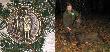 16.11.2013 �owisko Lembruk , w pi�tym miocie dublet do warchlak�w pozwala mi zdobyc tytu� kr�la polowania