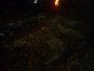 Pokot z 18.11.2013- 3 byki, 2 �anie,17 dzi�w, 2 kozy i ko�le