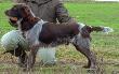 M�ChPL  ChPL  ARGO z Javoroveho vrchu-Beskyd PP I� KT I� 
