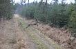 pi�knie wyszed� z progu