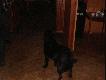 Borys Ma�gosi