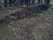 Pokot w ca�ej okaza�o�ci, �ania i 15 dzik�w.