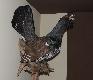Dok�adnie tak go zapami�ta�em...wspomnienia najwspanialszych �ow�w wr�ci�y...