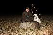 Strzelony podczas nocnego podchodu. By�y 4 przelatki, i 3 razy uda�o im si� przechytrzy� krn�brnego my�liwego kt�ry chcia� odda� strza� z 20 krok�w. 4 razem im si� nie uda�o:-) .Zatrzyma�em jednego na granicy obwodu. Chcia�y nielegalnie opu�ci� terytorium "�bika" :-))) Darz B�r.