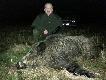 Kolega z Ko�a Leszek strzeli� w czwartkow� noc ody�ca o kapitalnym or�u i wadze 87 kg.  Wiek dzika oceniono na 10-11 lat. Or� wystawa� ponad 10 cm. Na pewno b�dzie to rekord Ko�a a nie wiem czy nie Wlkp. 