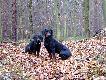 Ob�j i Alt :)