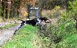 NERDA Hubert�wka znad Parsety (Archie Keiviento x Fiona Kajminia)