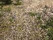 I na koniec wid�ak. 03 III 2014