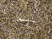 Zbli�enie.03 III 2014