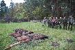 Pokol polowania  zbiorowego w K� Celuloza Kostrzyn. 14 dzik�w i lis, jeden warchlak m�j.