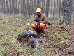 Tym razem na dewiz�wce niewiele si� dzia�o. Wykorzysta�em okazj� i Mauser zaliczy� debiut na naturalnym tropie. �adnie wypracowa� 40 m tropu bez farby i kolejne 40 m w��czki tusz�. Na ko�cu zamiast do dzika pobieg� do auta ale pierwsze koty za p�oty :D  Szko�� obchodzenia si� z dzikiem odebra� od profesora Artiego.Kr�tkie podsumowanie ostatniego m-ca. Od 25.10 do 27.11 Arti podni�s� 950 kg dziczyzny wartej oko�o 5,5 tys. Sk�ada si� na to 10 dzik�w r�nej wielko�ci, 3 �anie, ciele i byk jelenia, 2 kozy i daniel byk. DB