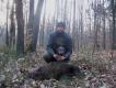 Pierwszy dzik Azji ( 8 miesi�cy ) :))
uda�o si� pozyska� dziczka na zej�ciu 5:45 i z watachy 7 sztuk jeden zostaje