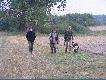 aport pi�knego kaczora