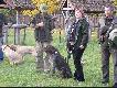 zbi�rka Klosnowo 2005