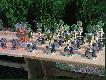 A o te trofea walczyli�my