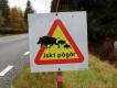 Sta�y, cho� nieobowi�zkowy element polowa� szwedzkich w Szwecji: Ostrze�enie, �e mo�na spodziewa� si� wtargni�cia zwierzyny na szos�. Jednocze�nie jakby pro�ba o nieprzeszkadzanie: wprawdzie w Szwecji obowi�zuje 'prawo powszechnego dost�pu' do teren�w nieogrodzonych, ale zwierzyna jest w�asno�ci� prywatn�, i polowanie to wa�na cz�� gospodarki le�nej dla w�a�ciciela tej�e ziemi. Ale po raz pierwszy zobaczy�em na znaku dziki - do tej pory widywa�em �osie lub psy. C�, jeszcze 40 lat temu w Skandynawii w og�le nie by�o dzik�w, 39 lat temu zbieg�y z zagrody przez p�ot zniszczony przez zwalone wichur� drzewo. W 1987 roku uznano przypadkow� reintrodukcj� za skuteczn�, zwierzyn� �own� sta�y si� w 1990, a od dw�ch lat ich odstrza� przewy�szy� odstrza� �osi, si�gaj�c 100 tysi�cy ubitego zwierza..