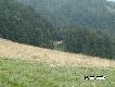 W okolicach Wierchomli i �omnicy takich bac�wek jest kilkana�cie .....!!!!