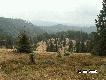 Widok w stron� Piwnicznej