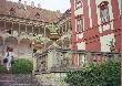 Zamek w Opo�nie. Wielka galeria trofe�w my�liwskich i broni. Cuda, cuda.