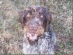 A taki u�miech mo�e by� ?