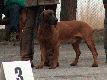 Klasa Champion�w III miejsce Mopi z Kubinowego Pola