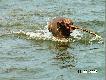 Bez r�nicy czy s�odka czy s�ona
