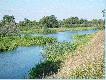 Zalew O�awy a jednocze�nie obw�d �owiecki nr 82