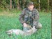 Rozpocz�cie sezonu na rogacze...
Pierwszy rogacz w tym sezonie strzelony przez mojego tat�. Szydlarz,wiek-oko�o 8lat,waga tuszy-17kg...