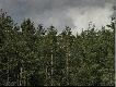 �wiec�cy pocisk ...