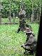 Kolega W. Feculak my�li  - jak   "kursantom"  wt�oczy� wiedz� do g��w....