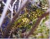 A Ty jak by� si� czu�, gdyby to Ciebie podgl�dano w takiej sytuacji? 
�. jeziorkowe.