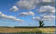 Okolice Kleszczy�ca
