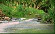 S�upia na Go��biej G�rze