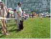 Krzy�ak w Warszawie...