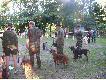 Konkurs pracy - Nadle�nictwo �wit k. Tucholi