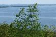 5-go sierpnia 2006 r., ponownie w Wikwemikong na Pow Wow. Tym razem nie przegapi�em okazji i uj��em na zdj�ciu zatok� Wikwemikong nad kt�r� po�o�ony jest rezerwat india�ski, w kt�rym odbywa si� to s�ynne Pow Wow.