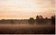Gdzie� w lesie...