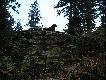 ...GP..na tronie...!!w�adca lasu..;p
