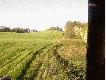 Fotka z ambony przy �ycie