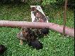 Szcz�liwa mamusia . 