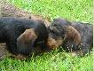 Rodzinny poca�unek.