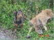 Pierwszy raz widz� takiego